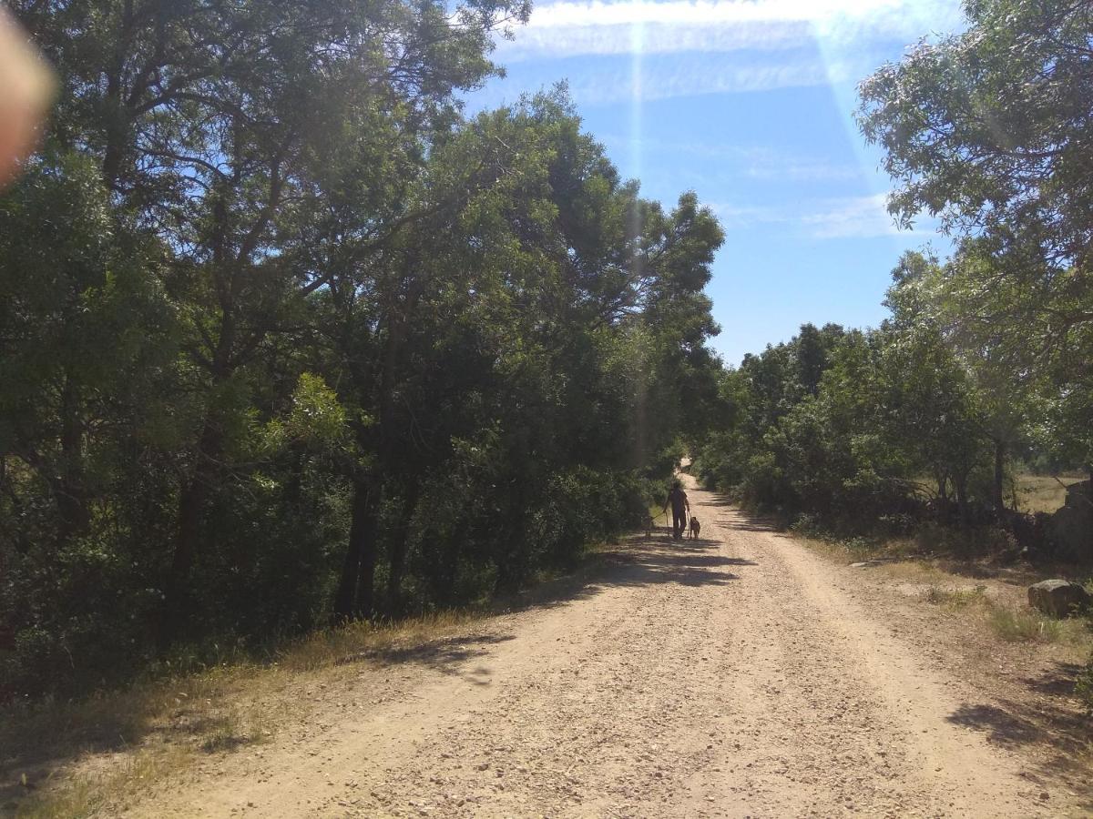 Acogedora Casa Rural En La Sierra De Madrid Матаелпино Екстериор снимка