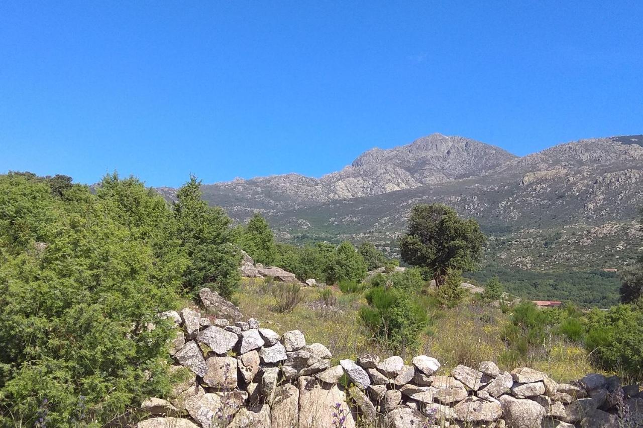 Acogedora Casa Rural En La Sierra De Madrid Матаелпино Екстериор снимка