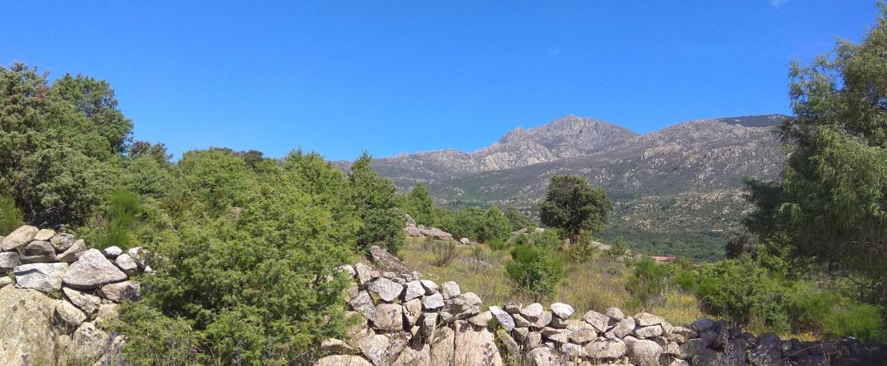 Acogedora Casa Rural En La Sierra De Madrid Матаелпино Екстериор снимка